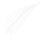 BT-Leaf-White BT-Leaf-White
